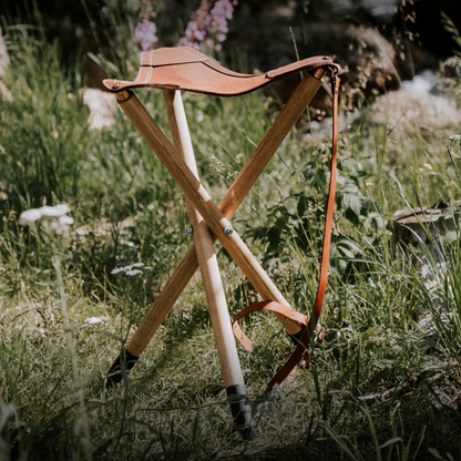 The King's Chair